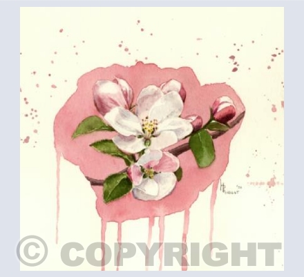 Blossom