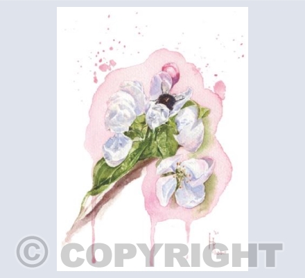 The bee and crabapple blossom