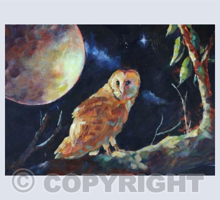 Moonbeams and Shadows