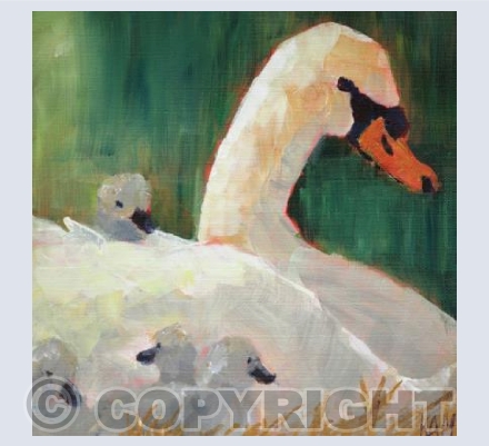 Swan and Babies