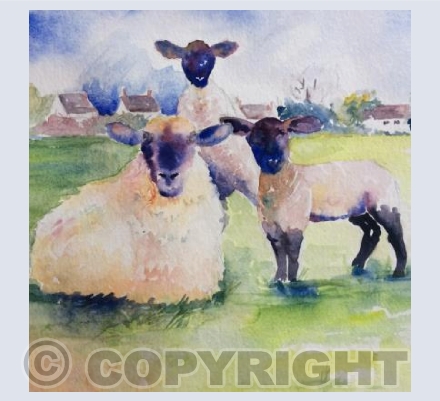 Are you looking at me?