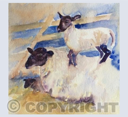 Series Down on the Farm - Misbaahaving