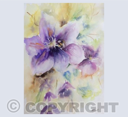 Clematis and Bee