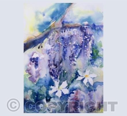 Wisteria and Clematis.v2