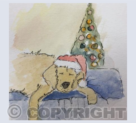 "Too Much Excitement"