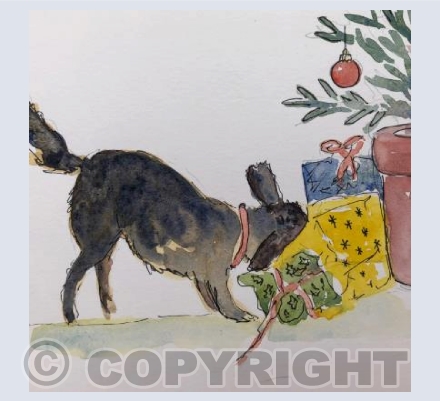 "What's in the box?"