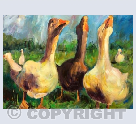 Goose Choir