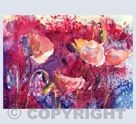 Poppies