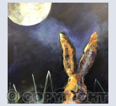 Cheeky Charlie Hare - KAM003