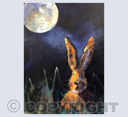 Cheeky Charlie Hare - KAM 006