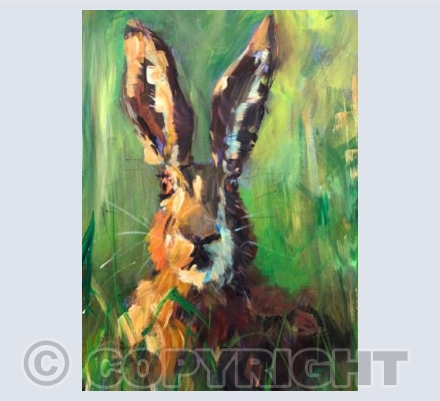 Hare - 008