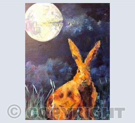 Hare 001