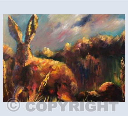 Hare in Autumn. 1