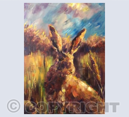 Hare in Autumn.2