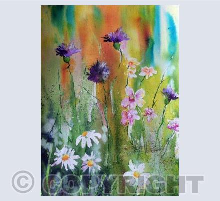 Wild Flower Border