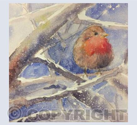 Robin