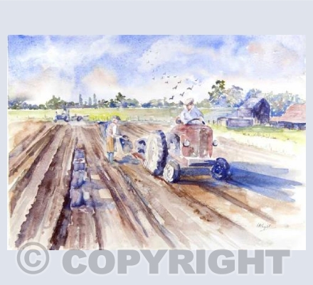 Harvest