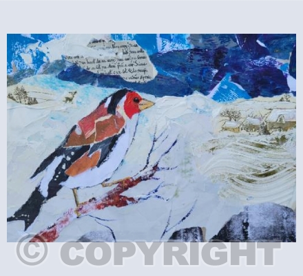 Chaffinch