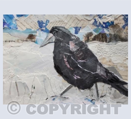 Crow