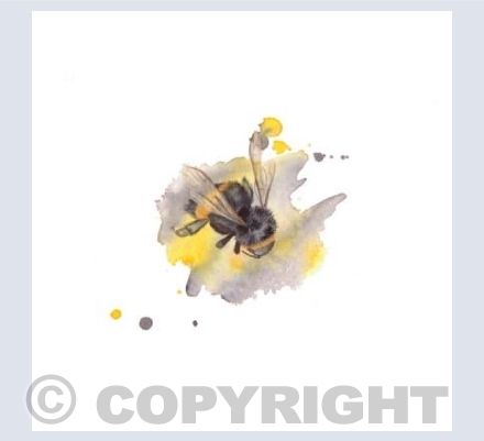 Bumblebee