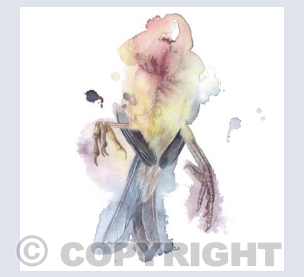 Songbird