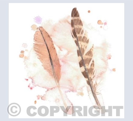 Birds of Prey Feathers