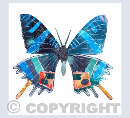Butterfly Collage