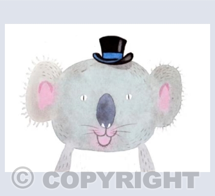 Koala