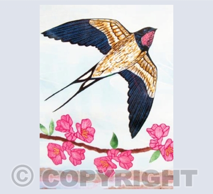 Swallow