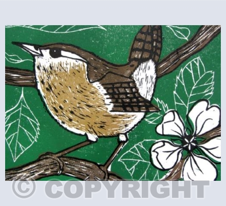 Wren