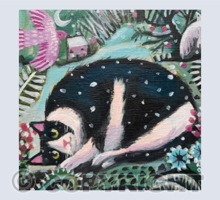 Snowy Cat