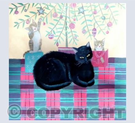 Cats with Presents