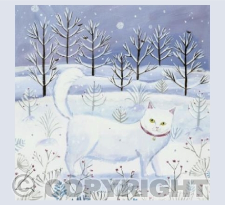 Snowy Cat
