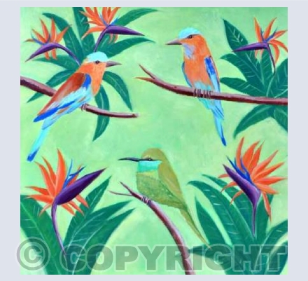Bee eaters