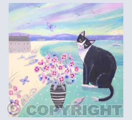 Cat in Cornwall