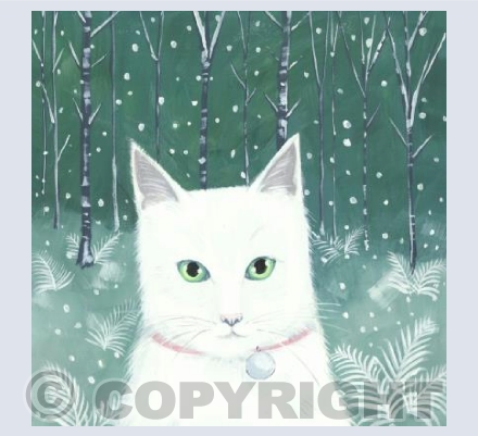 Forest cat