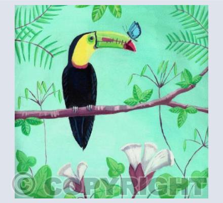 Toucan