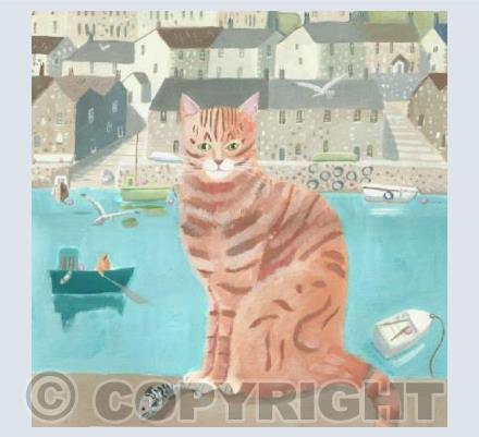 Harbour cat