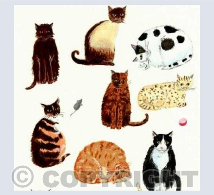 Cute cats