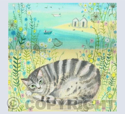 Tabby on the Beach