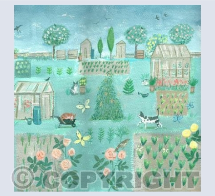 Cats with Allotments