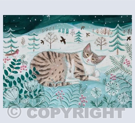 Tabby in snow