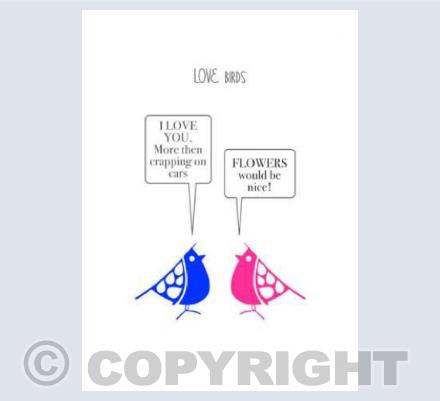 LOVE Birds
