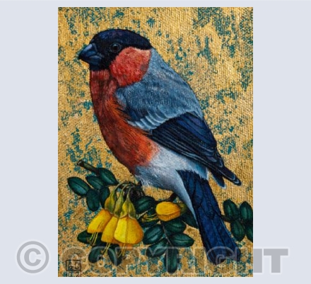 Bullfinch