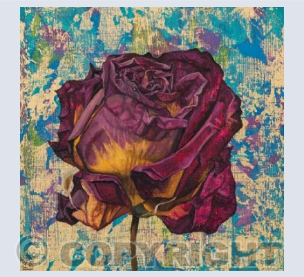 Rose 2