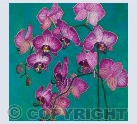 Orchids on Blue