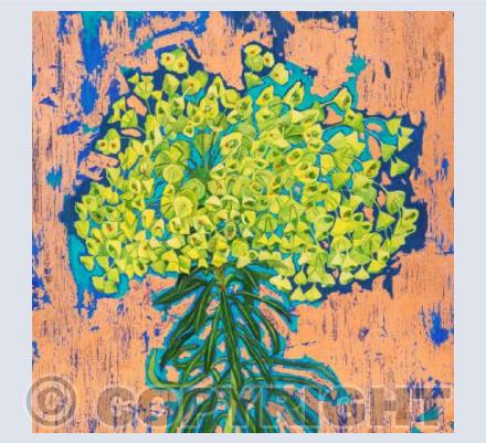 Blue Euphorbia