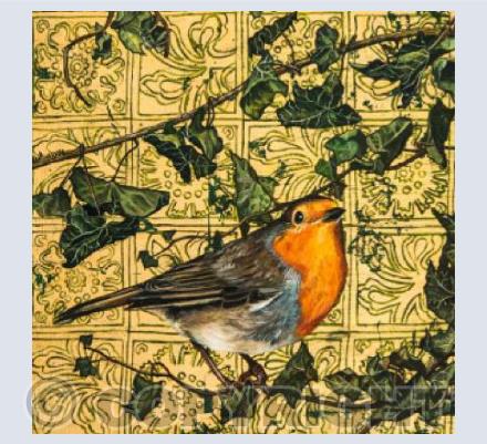 Robin