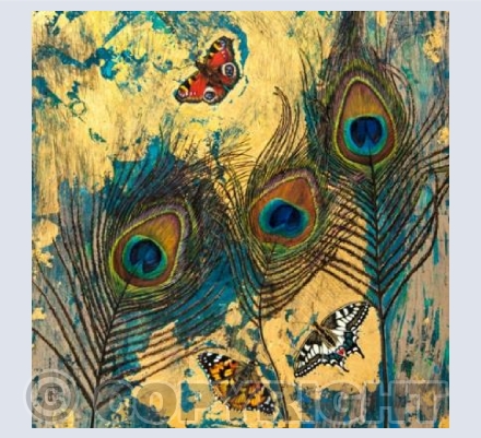 Feathers &Butterflies