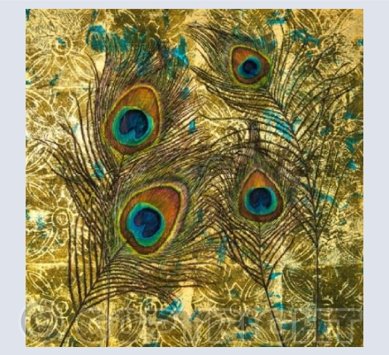 Peacock Feathers on Gold